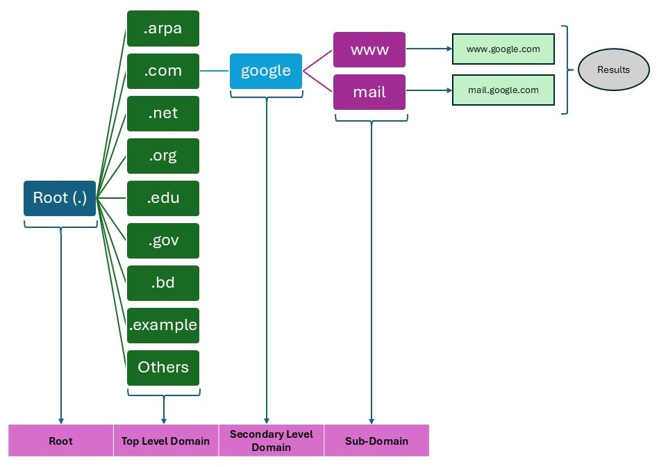DNS Domain Hierarchy