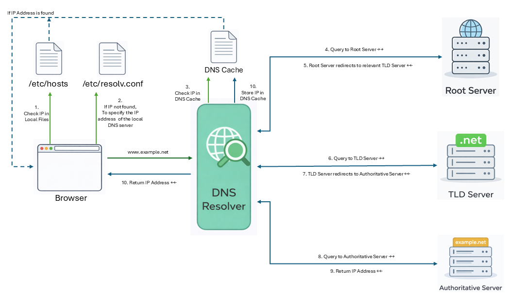 DNS Query